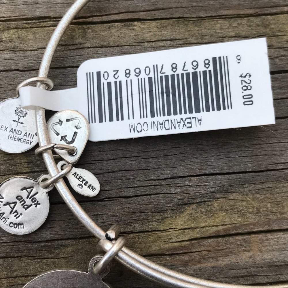 Alex and Ani Bracelet Silver Tone Zodiac AQUARIUS - Picture 6 of 6